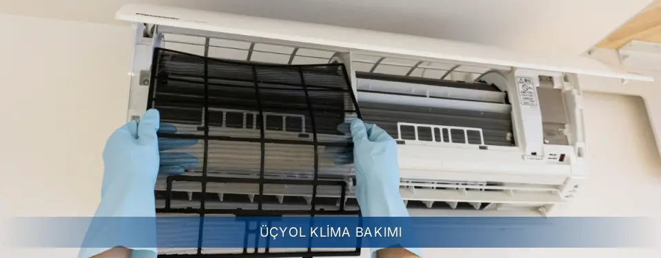 Üçyol İlçemi Electrolux Klima Bakımı