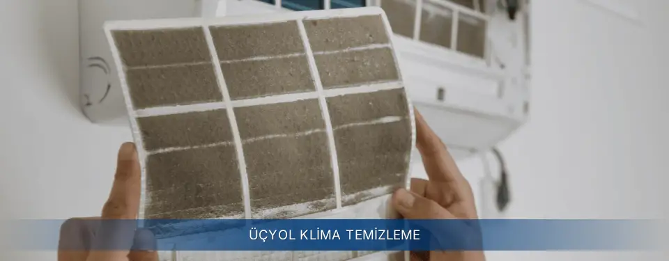 Üçyol İlçemi Electrolux Klima Temizleme